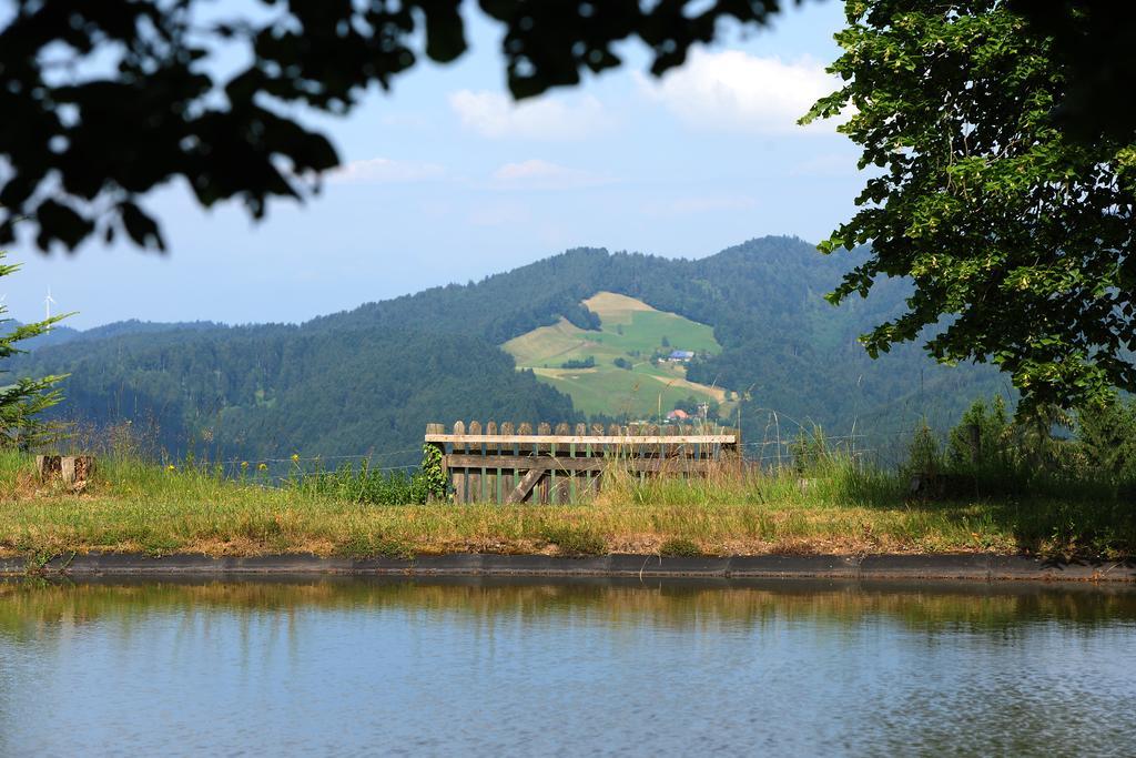 Hotel Haus Maria Lindenberg 2*